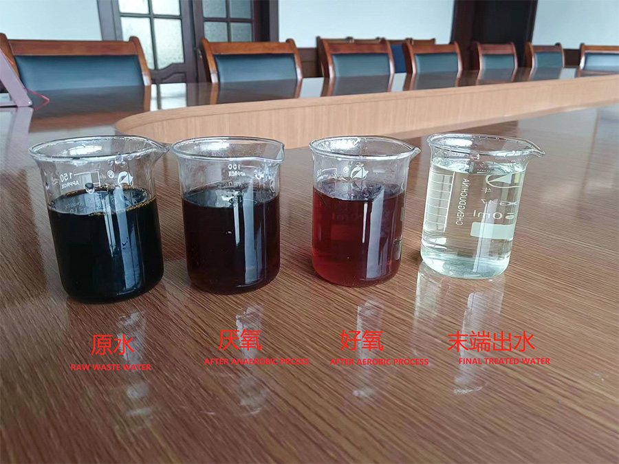 WASTEWATER TREATMENT IN MOLASSES-BASED ALCOHOL DISTILLERIES FOR COD AND COLOR REMOVAL